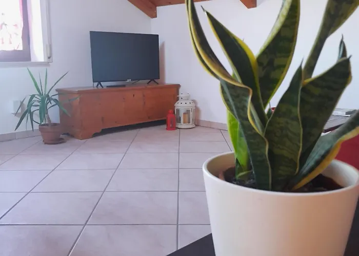 Le Rondini Apartment Corinaldo